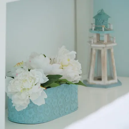 Casa de hóspedes Pharus Miseni And