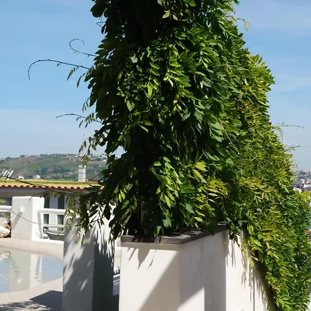 Casa de hóspedes Pharus Miseni And 4*